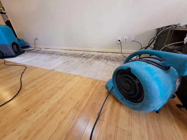 Professional Structural Drying technician working in Hoyt Lakes, MN